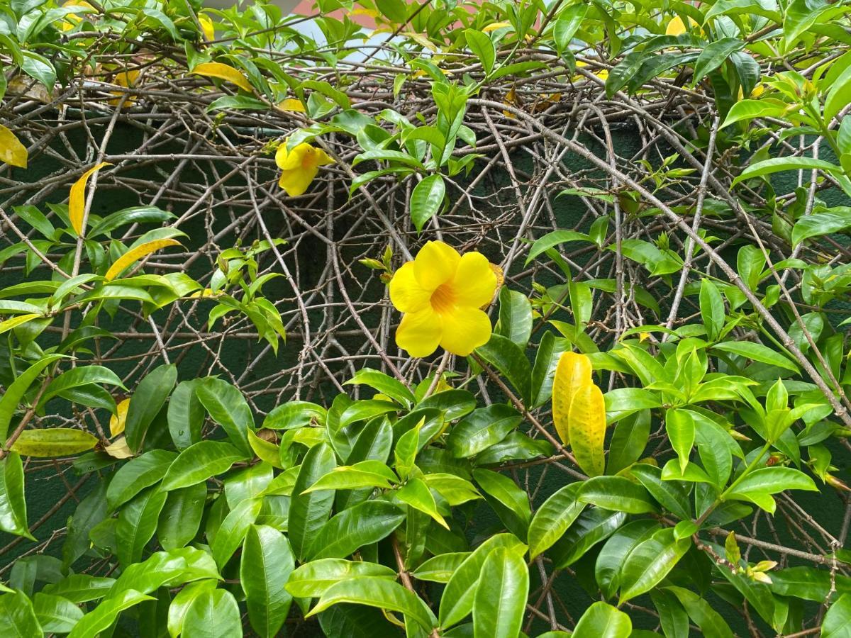 Apartamento Flores Da Aldeia Porto Seguro