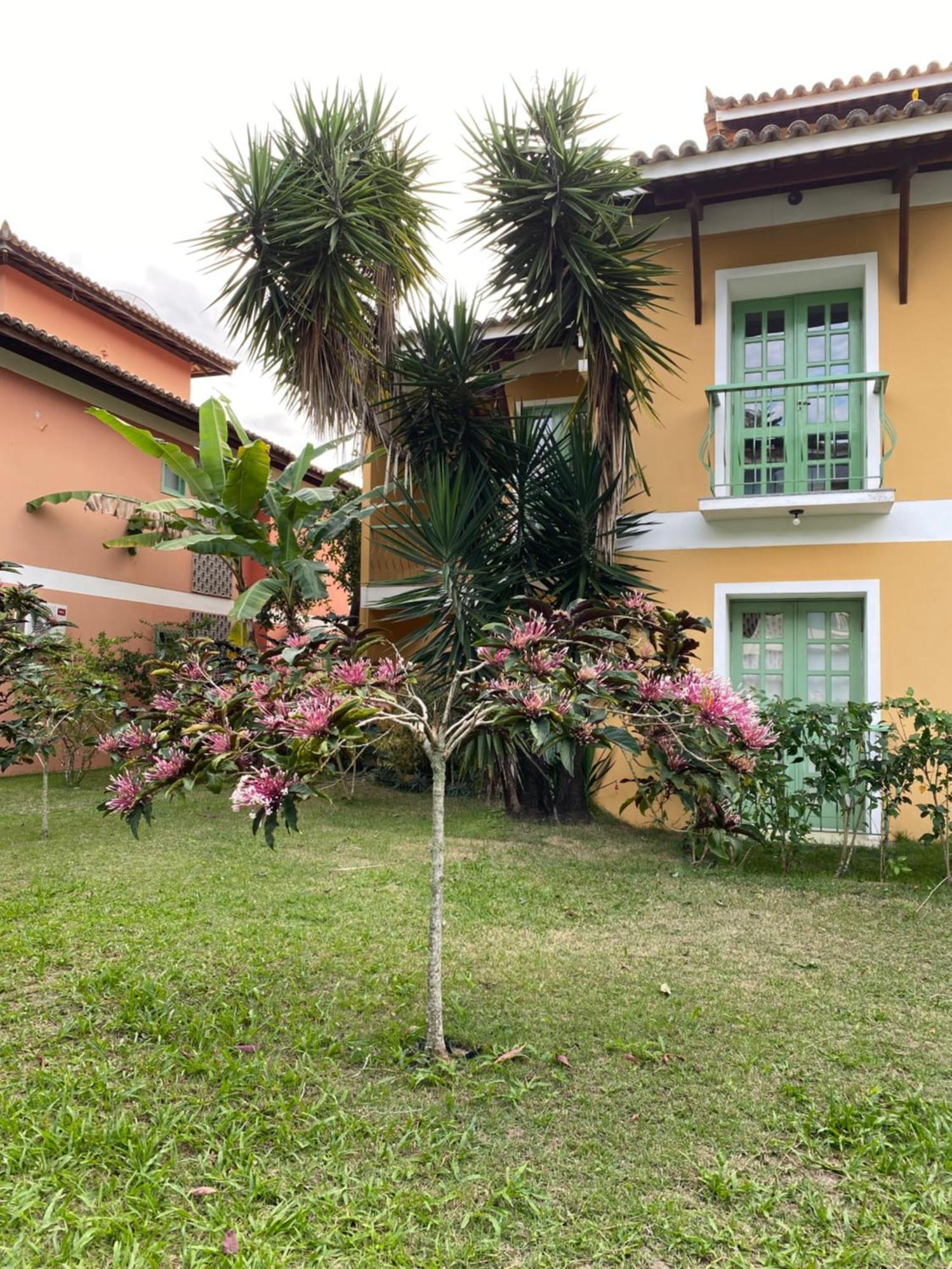 Apartamento Flores Da Aldeia Porto Seguro